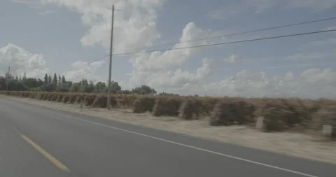 Rear left driving plate - Davis Road at Lucas Road, Woodbridge Stock Footage 293467157