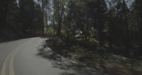Rear left driving plate - Highway 245 at Mile 3, Pinehurst Stockbeeldmateriaal 295216949