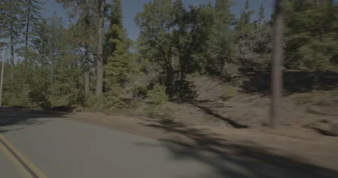 Rear left driving plate - Smith Station Road at Mile 4, Greeley Hill Stock Footage 295058056
