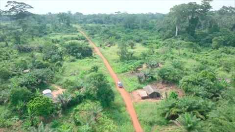 Rear overall drone view of pickup on forest road from above, Congo Stock Footage 331999498