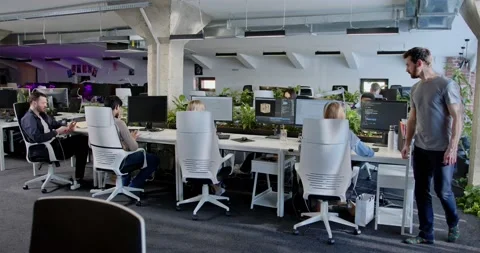 Rear of people developers sitting at computers and working. Back view on support Stock Footage 180032065