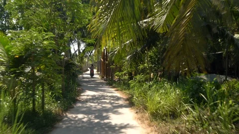 Rear point of view moped through rain forest in Vietnam Stock Footage 117112555