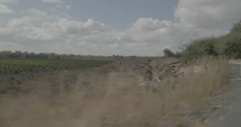 Rear right driving plate - Collier Road at Mile 2, Dogtown Vidéo 293482924