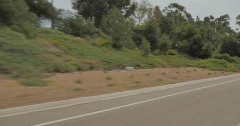 Rear right driving plate - PCH at Crystal Cove State Park, Newport Beach Stock Footage 101982013