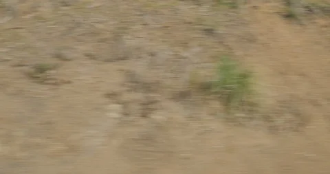 Rear right driving plate - Stenmark Dr at Winehaven, Richmond Video stock 113729372