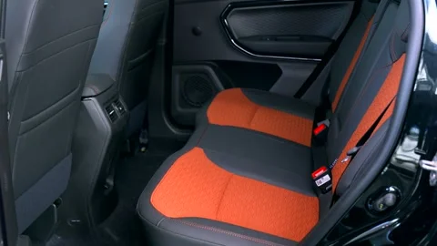 Rear seat and comfortable space Stock Footage 266411020