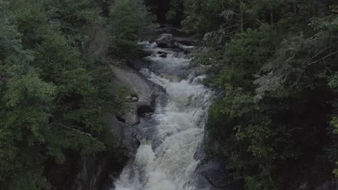 Rear tracking of waterfall flowing in forested canyon. Video stock 137275716