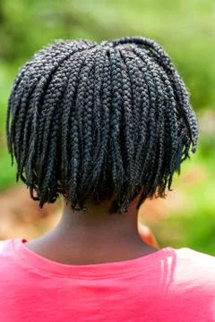 Rear view of African girl with braided hair. Stock Photos