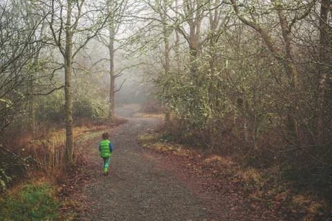 Rear view of a boy walking through the woods Stock Photos