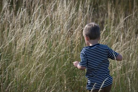 Rear view of a boy walking through long grass Stock Photos