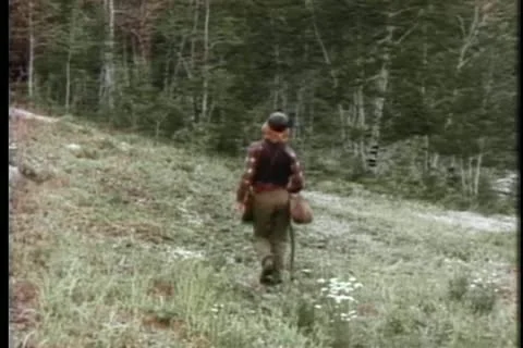 Rear view of boy walking towards forest Stock Footage 11366403