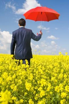 Rear view of businessman with red umbrella going through flower field Stock Photos