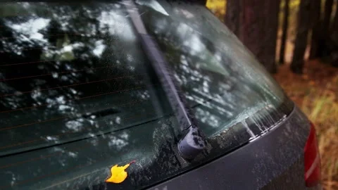 Rear view car window wiper movement removing bird droppings and dirt from glass Video stock 325296401