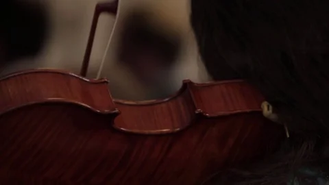 Rear view close up of violinist playing at social gathering Stock Footage 74309769
