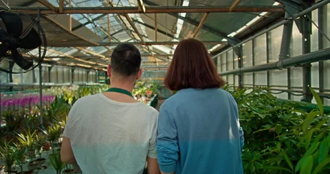 Rear view of a confident male assistant walking through the greenhouse with a Stock Footage 280688356