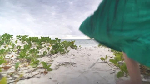 Rear view of couple having fun on the beach Stock Footage 85790520