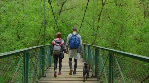 Rear view of a couple walking on a bridge Stock Footage 99962237