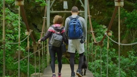 Rear view of a couple walking on a bridge Stock Footage 99962452
