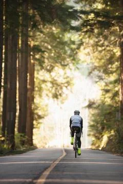 Rear view of cyclist riding bicycle on road by trees Stock Photos