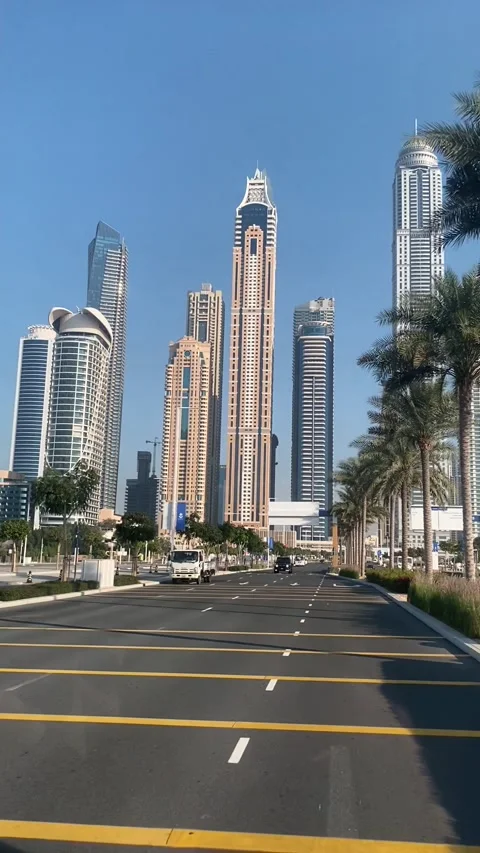 Rear view driving car on roads of Dubai among palm trees in sunny weather. Stock Footage 237089299