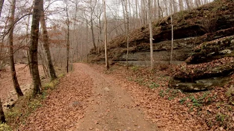 Rear View Driving Down a Leafy Western Kentucky Backroad in Late Autumn Video stock 261040162