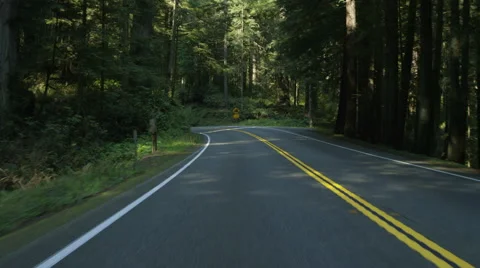 Rear view of a Driving Plate: Car travels east on the Redwood Highway near Stock Footage 59511500