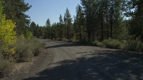Rear view of a Driving Plate: Car turns left onto Silver Lake Road (County Road Stock Footage 59512451