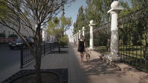 Rear view of elegant beautiful blonde in black dress with her red dog walks alon Stock Footage 115101907