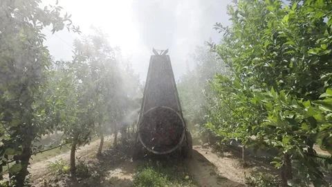 A Rear view of the Fan Sprayer applying Chemicals in an Apple orchard. Stock Footage 144982251