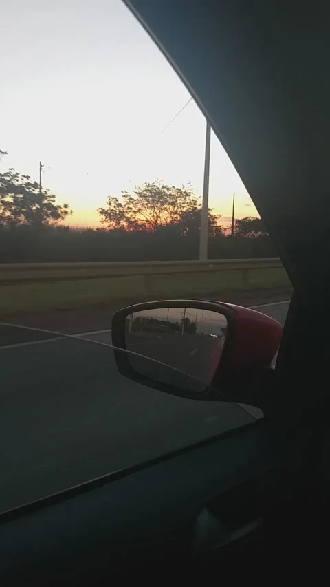 Rear view 스톡 동영상 291587178