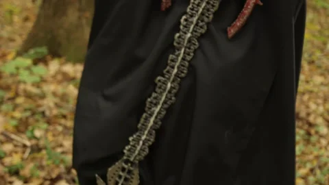 Rear view, Forest path, Cloaked assassin 库存影片 345579621