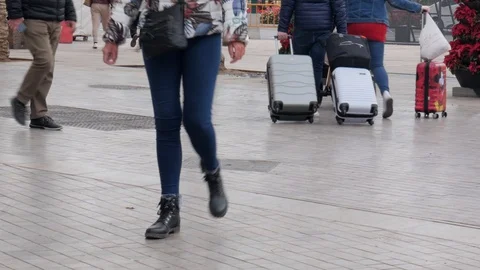 Rear view of a group of tourists walking on the street with suitcases Stock Footage 121850361