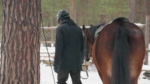 Rear view handler walking with horse through snowy pine corral, tail and saddle Video stock 326116512