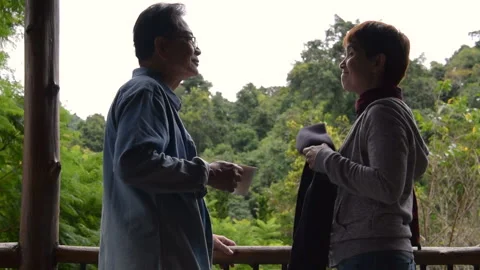 Rear view of happy romantic senior couple looking at the green nature Stock Footage 144135341