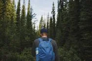 Rear View Of Hiker With Backpack Exploring Forest Stock Photos