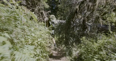 Rear view of hiker walking through the forest on a sunny day Stock Footage 145278128