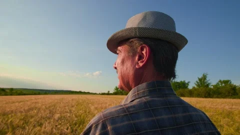 Rear view of a human head senior farmer looks at and examines the agricultural Stock Footage 199424443