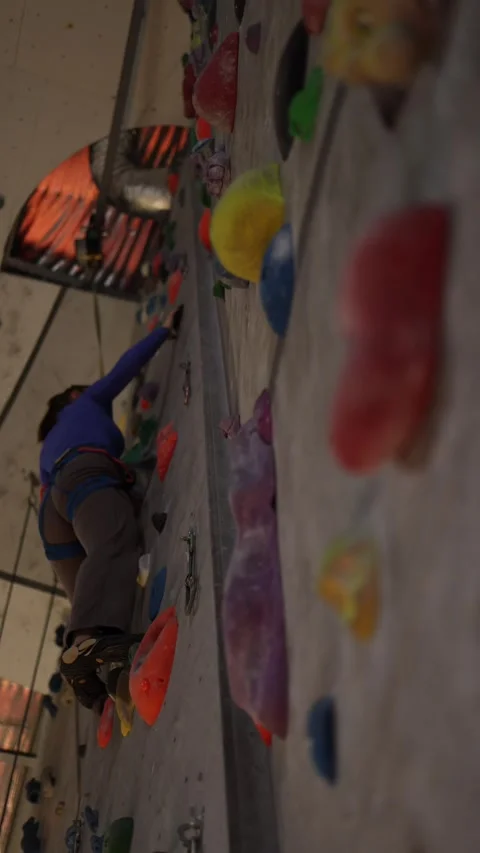 Rear view of indoor climbing practice Stock Footage 339287703