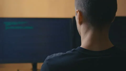 Rear view of IT programmer engineer developer writing programming code on Video stock 120909717