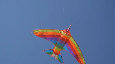 Rear view of a kite flying high in a blue sky close up. Bird's eye view Stock Footage 117712934