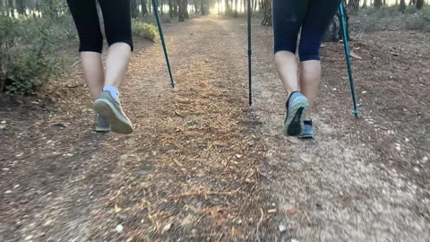 Rear view of the legs of two women walking fast through the forest. Stock Footage 252190899