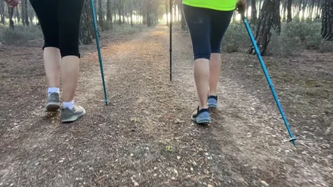Rear view of the legs of two women walking fast through the forest. Stock Footage 252190964