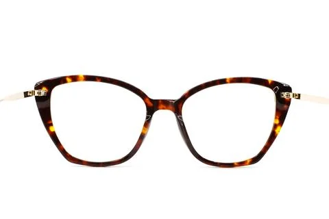 Rear view looking through a pair of glasses with a pretty butterfly shape frame Stock Photos