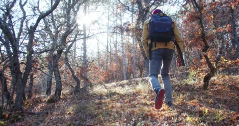 Rear view of a Man with a backpack walking through the autumn forest in the rays Stock Footage 171721857