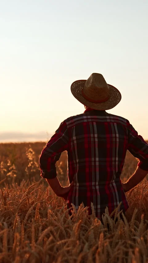 Rear view of a man in a hat and checkered shirt standing in the field.  Video stock 301019385