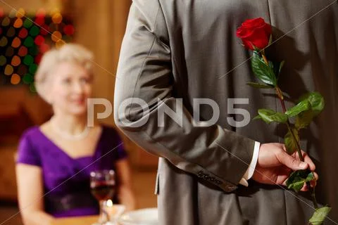 Rear view of man holding red rose in hand on background of intrigued female Stock Photos
