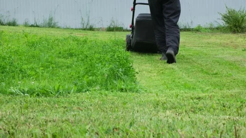 Rear view of a man with lawn mower working and moving away from the camera Stock Footage 312661081