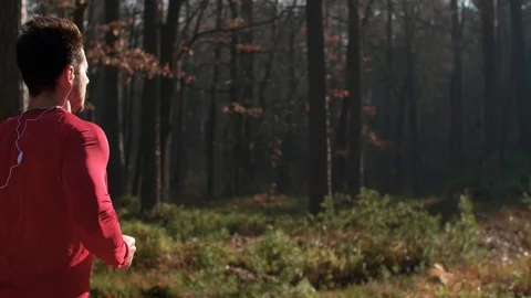Rear view of man running in the forest Stock Footage 102825949