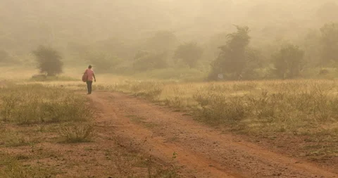 Rear view of Man on rural road Stock Footage 293181752