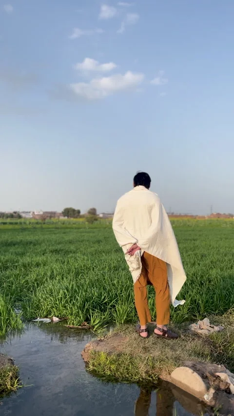Rear View Of Man Standing By Green Field Stock Footage 334153595